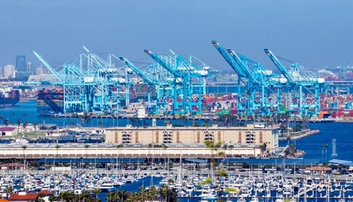 2021 supply chain disruptions port congestion